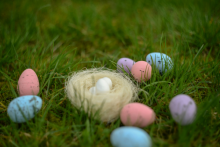 Easter eggs in grass